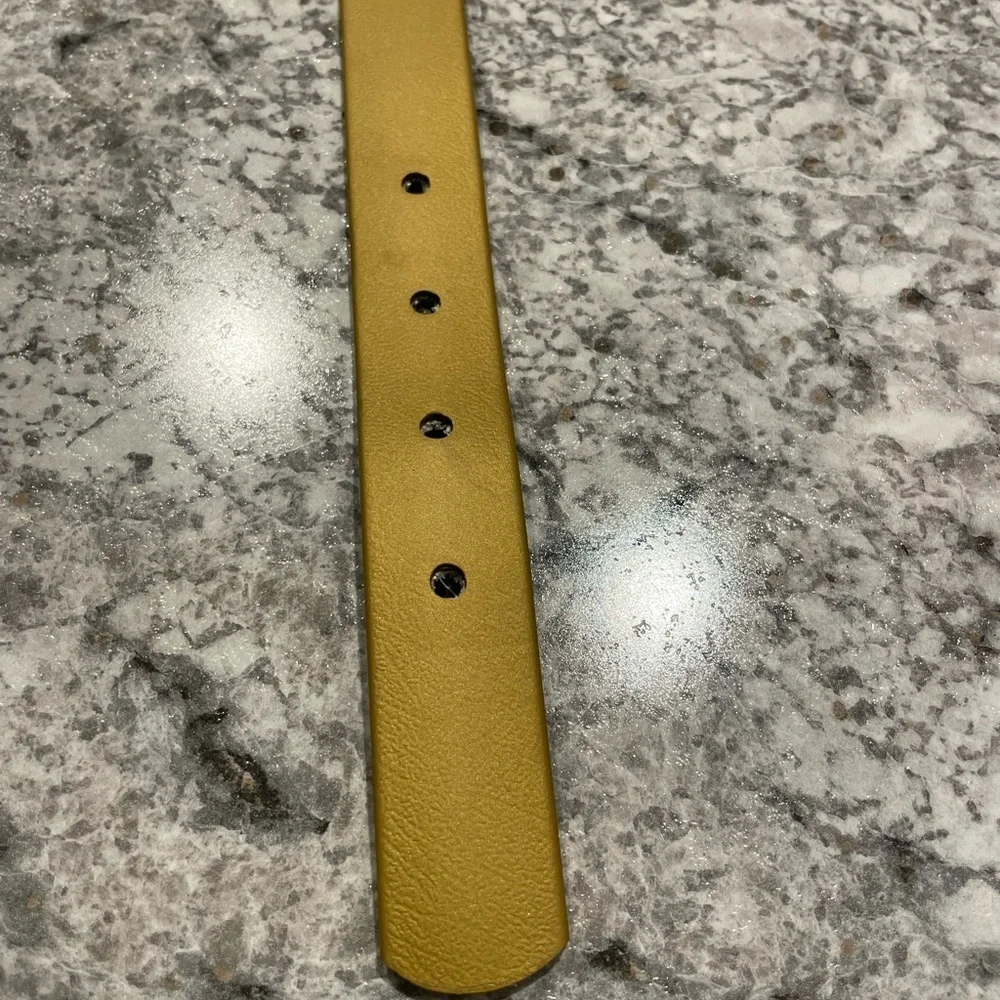 Biothane Olive dog collar with Silver Buckle size 12-15 inch